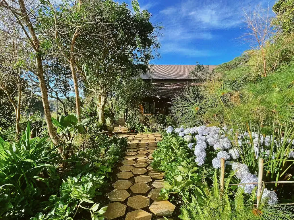 Garden path lined with hydrangeas and leafy plants leading toward the house.