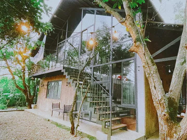 Glass-front house with exterior steps, wooden walls and trees in the garden.